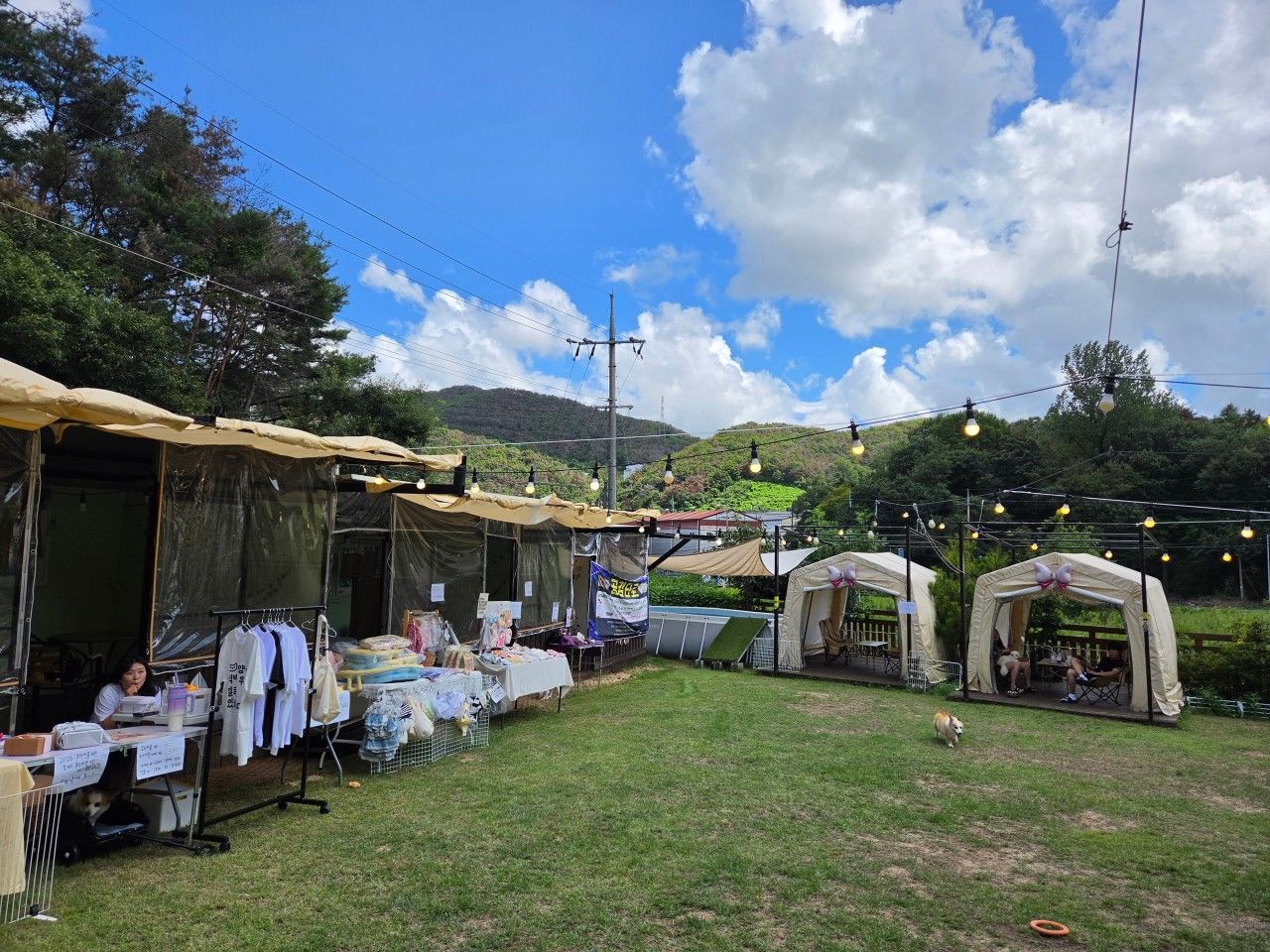 투개더 애견카페 대표 이미지