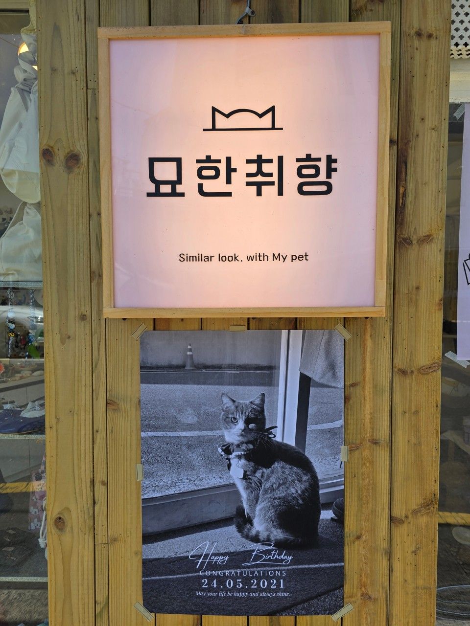 묘한취향 대표 이미지
